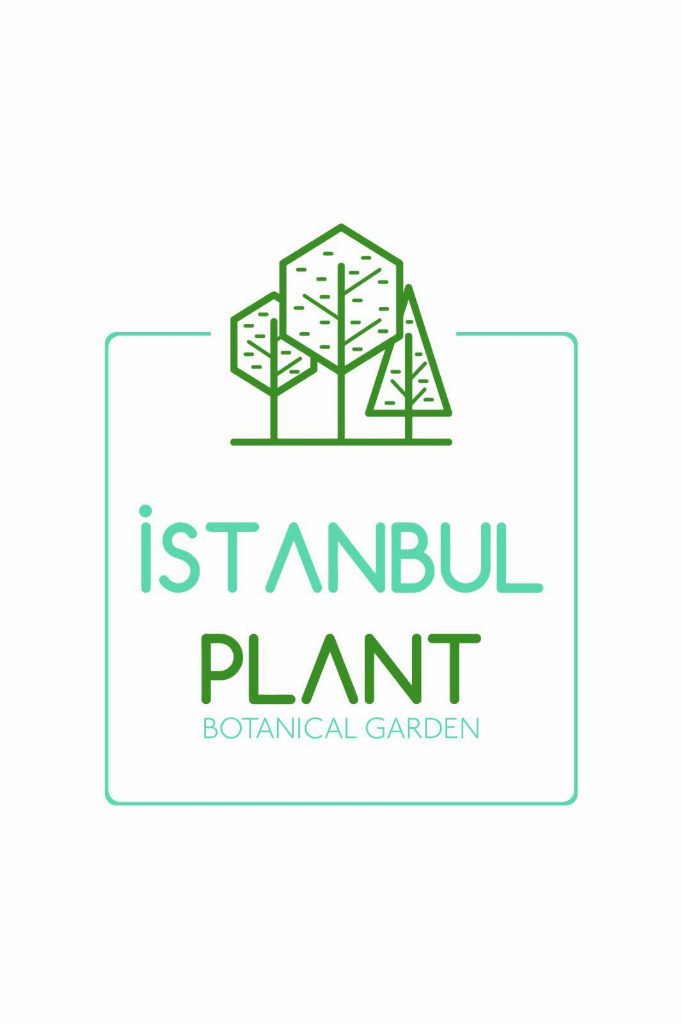 İstanbul Plant Logo